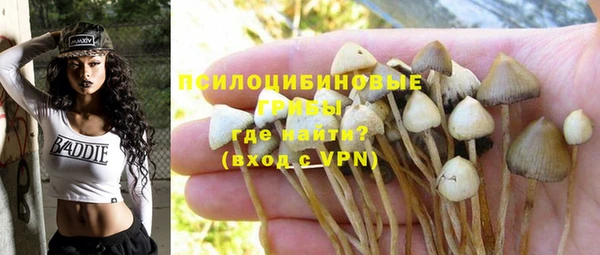 круглые Аркадак